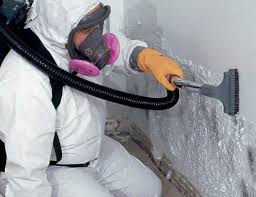  Sylva, NC Mold Removal Services Pros